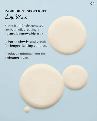 Junkanoo Beach 8 oz Soy Wax Candle