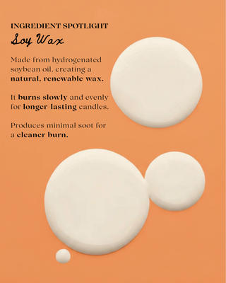 Paradise Island Prosecco 8 oz Soy Wax Candle